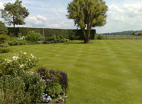 Image of mainained latge garden and borders
